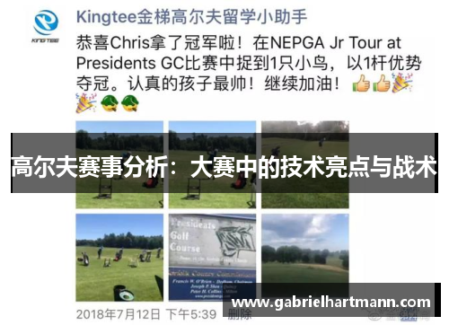高尔夫赛事分析：大赛中的技术亮点与战术