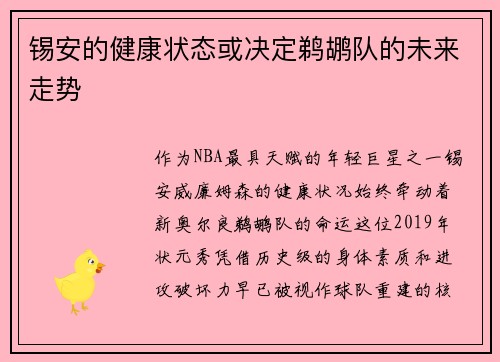 锡安的健康状态或决定鹈鹕队的未来走势