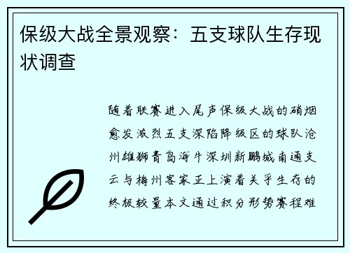 保级大战全景观察：五支球队生存现状调查